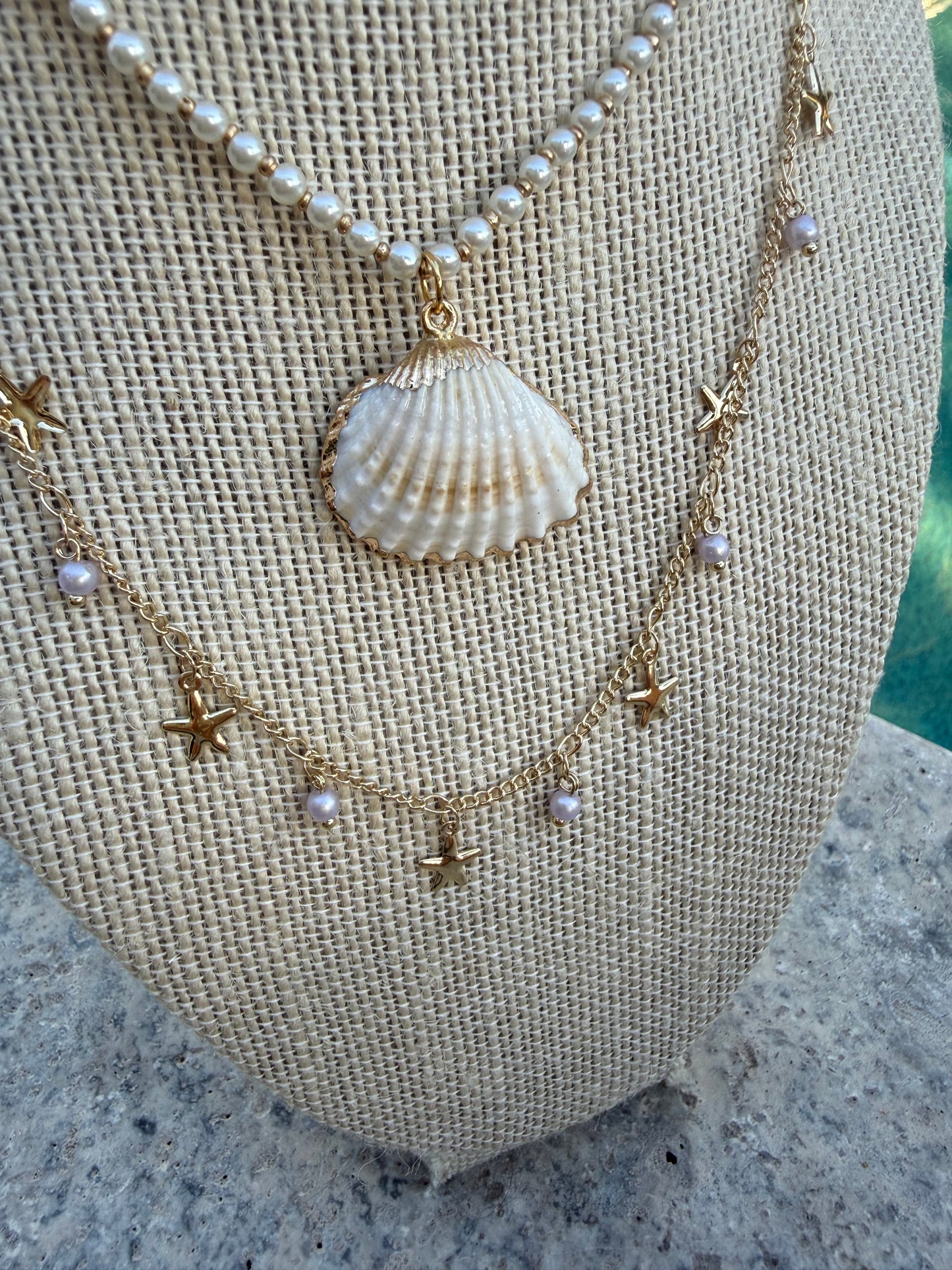 She Sells Seashells