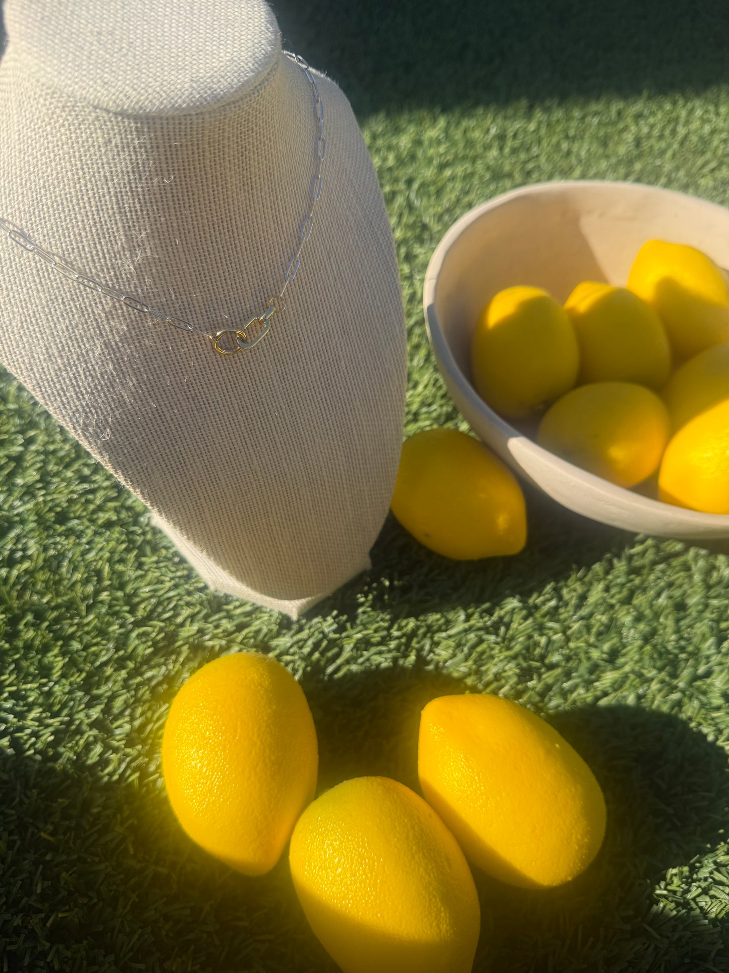 Two Toned Necklace