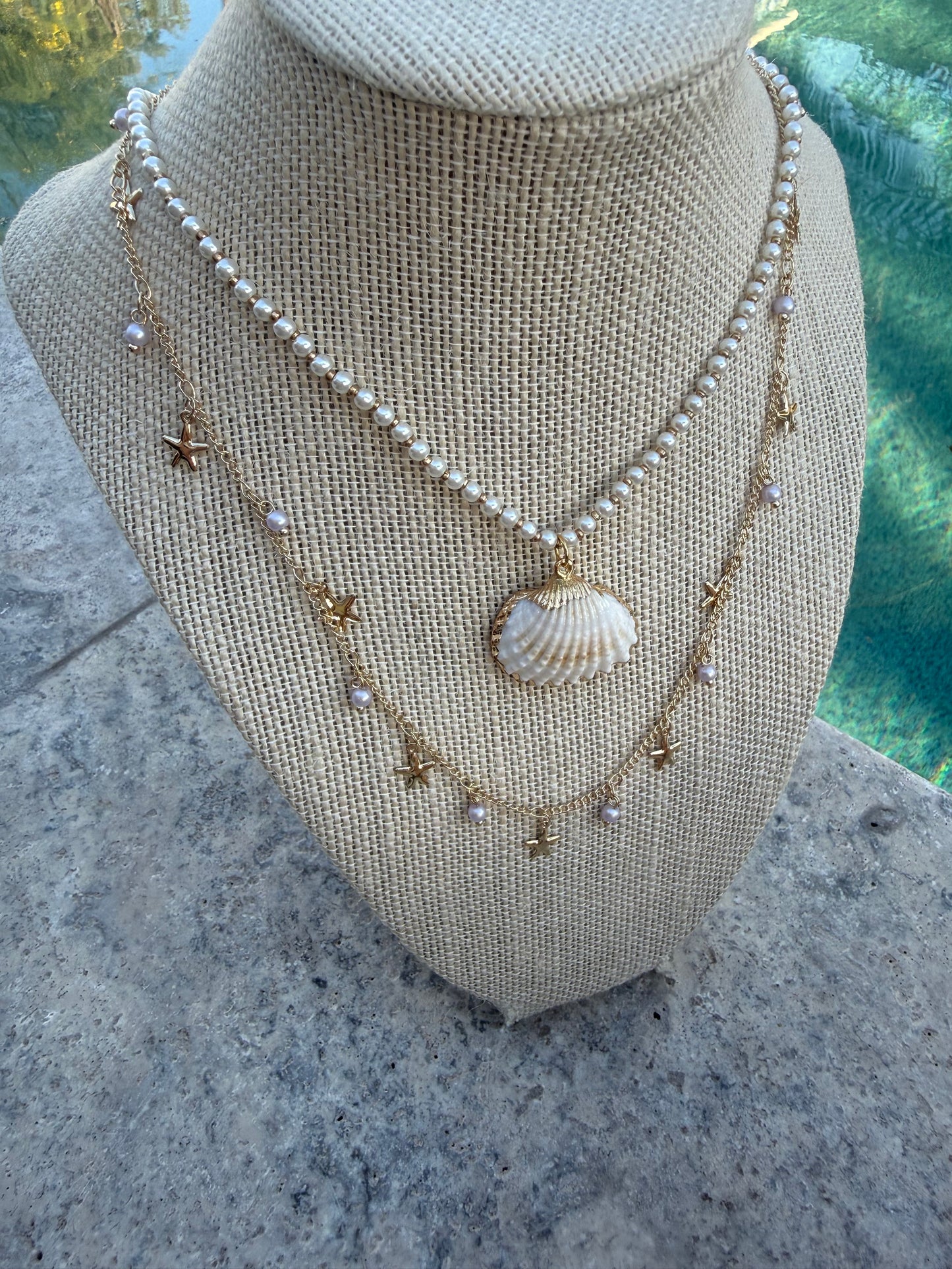 She Sells Seashells